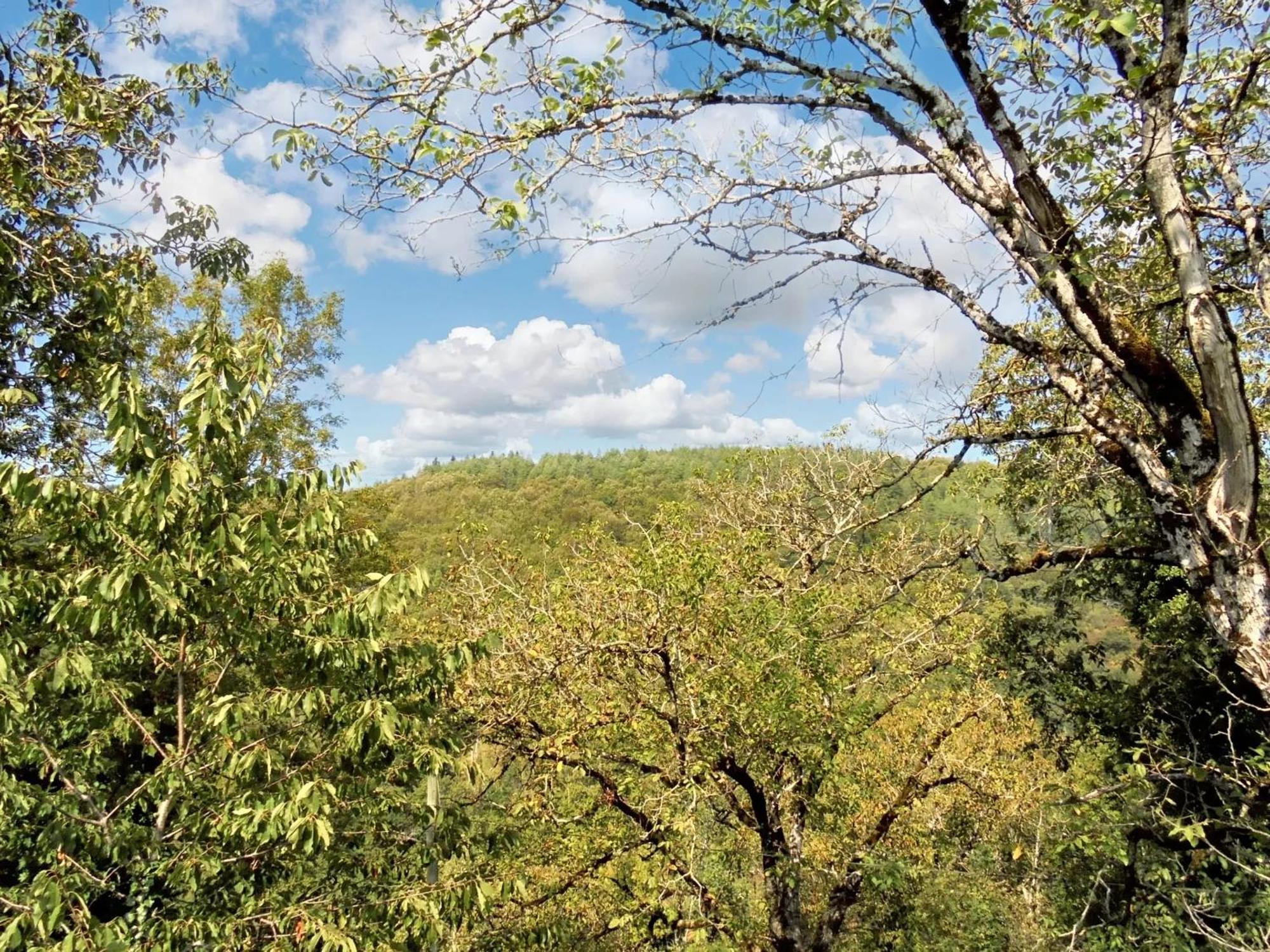 Maison Charmante Avec Vue Sur La Montagne A De Mandailles Barbecue